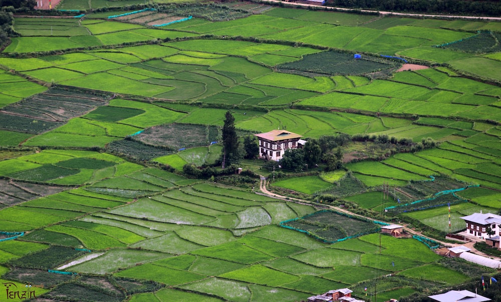 Tours in Bhutan